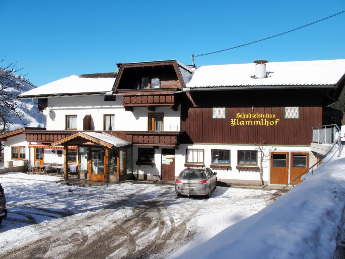 Apartment Klammlhof-4 By Interhome Zell am Ziller Luaran gambar